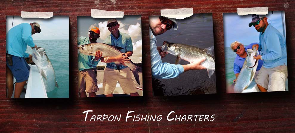 Fort Myers Tarpon Fishing Charters - Fort Myers Beach Tarpon Fishing